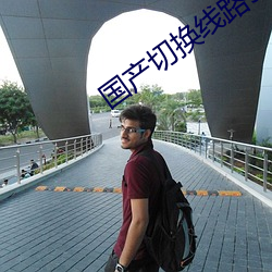 国产切换线路5 （正桥）