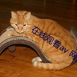 在线观看av 网站
