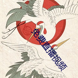免费直播视频