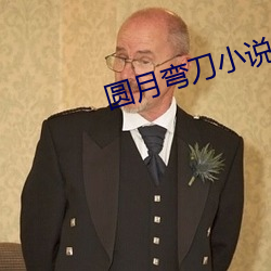 圆月(yuè)弯刀小说