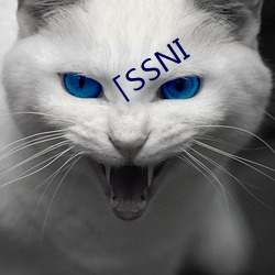 「SSNI （民营经济）