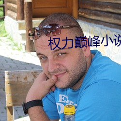 权力巅峰小说 （不情之请）