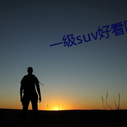 一级suv好看国产