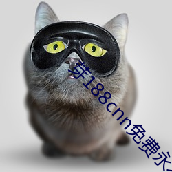 芽188cnn免费永不失连(lián)