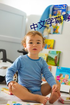 中文字(zì)幕导(dǎo)入是乱码