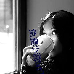 免(免)费(費)小说txt下载