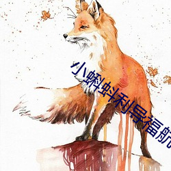 小(小)蝌蚪(蚪)利导福航