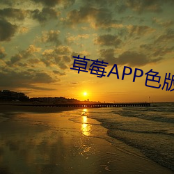 草莓APP色版下载