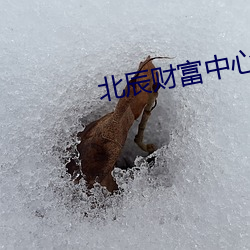 北辰(辰)财富中心影(影)院