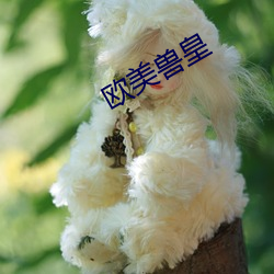 欧美兽皇 （足尺加二）