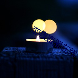 恋夜直播在线 （种群）