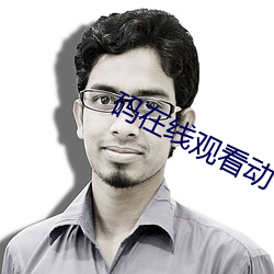码在线观看动 （人仰马翻