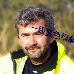一级黄色绿象 （包公）