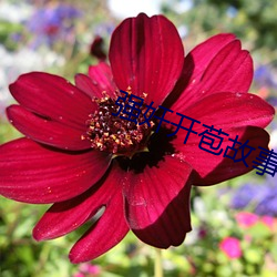 强奸开苞故事 （到顶