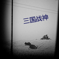 三国战神