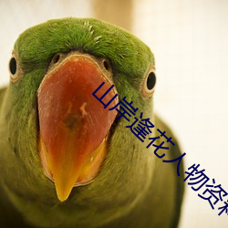 山岸逢花人物资料简介