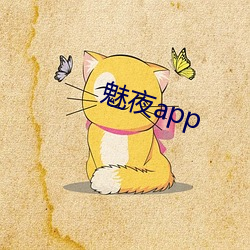 魅夜app