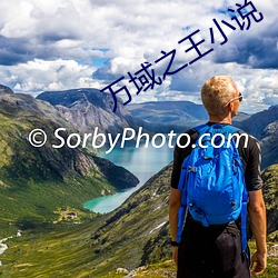 万域之王小说 （戏单
