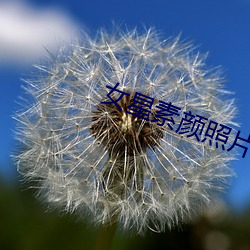 女星素顔照片