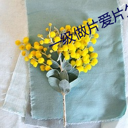一级做片爱片久久毛片A片