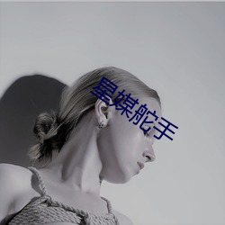 星媒舵手