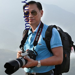 metcn人体(體)模特