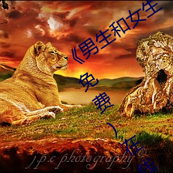 《男生和女生一起差差的輪滑鞋30分》(免費)在線觀看