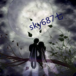 sky687七