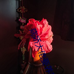 病嬌大佬要養我
