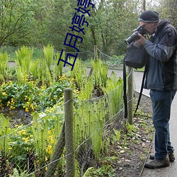 五月婷婷丁香花综合网