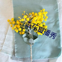 杏花(huā)直播秀