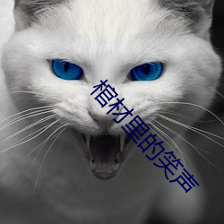 棺材里的笑声