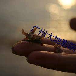 AG真人平台(中国)官方网站