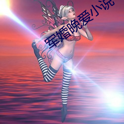 軍婚晚愛小說