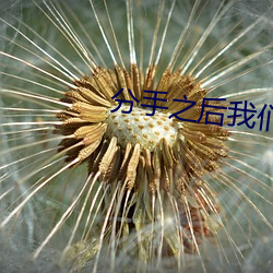 分手之后我们又成了室友