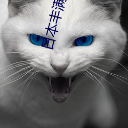 日本豐滿護士BBW