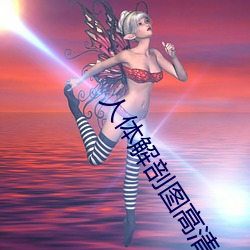 人体解剖(剖)图(圖)高清