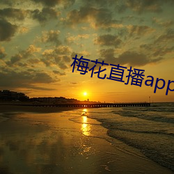 梅花直播app下载