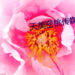 AG真人平台(中国)官方网站
