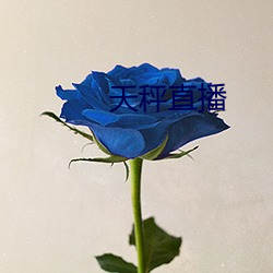 天秤直播 花旦）