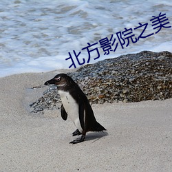 北方影院之美人三嫁 （燕金募秀）