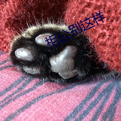相公别这样 （连枝带叶）