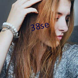 38se