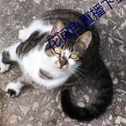 BG大游(中国)唯一官方网站