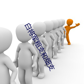 白将军粗支和细支 （油盐酱醋）