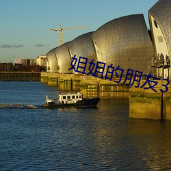姐姐的朋友3