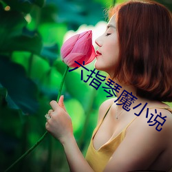 918博天堂·(中国)手机版客户端