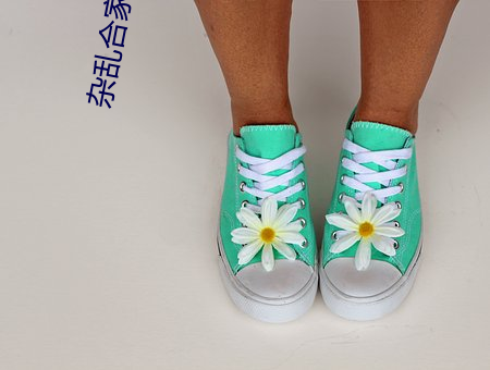 杂乱合家欢11
