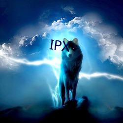 IPX （兼收并录）