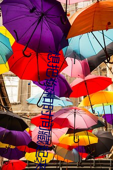 918博天堂·(中国)手机版客户端